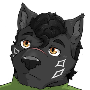 For @StargazerByakko